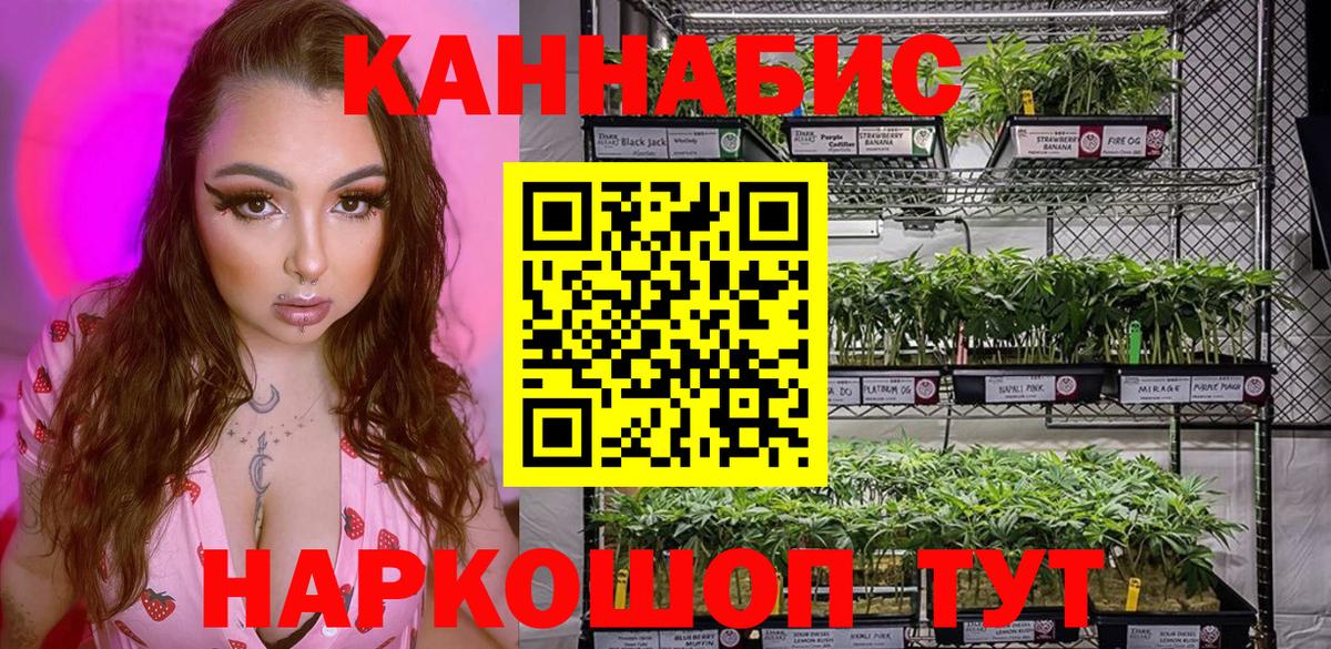 Полевской  Бошки Шишки LSD WEED  Вход с VPN  Марихуана марихуана  Каннабис VHQ 